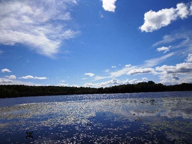 7168 Little Papoose Road Manitowish Waters, WI 54545 - Photo 10 of 20 Gallery Image 10