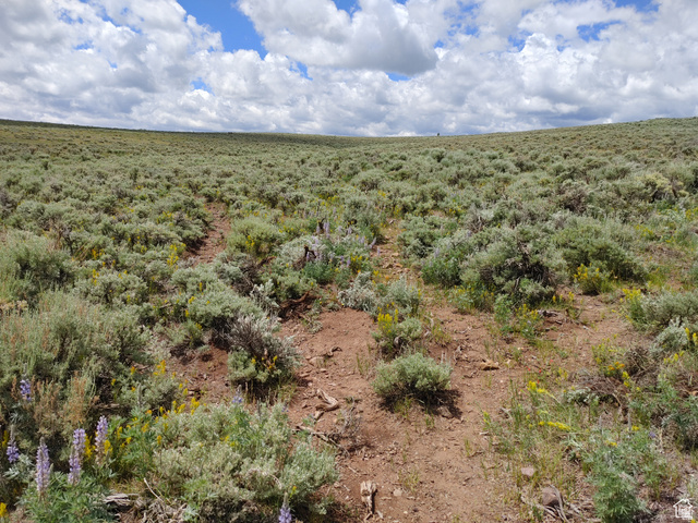 0 Th Lonetree, UT 82936 - Photo 4 of 4 Expansive land featuring a rolling landscape, natural vegetation, scattered wildflowers, and a clear sky with clouds