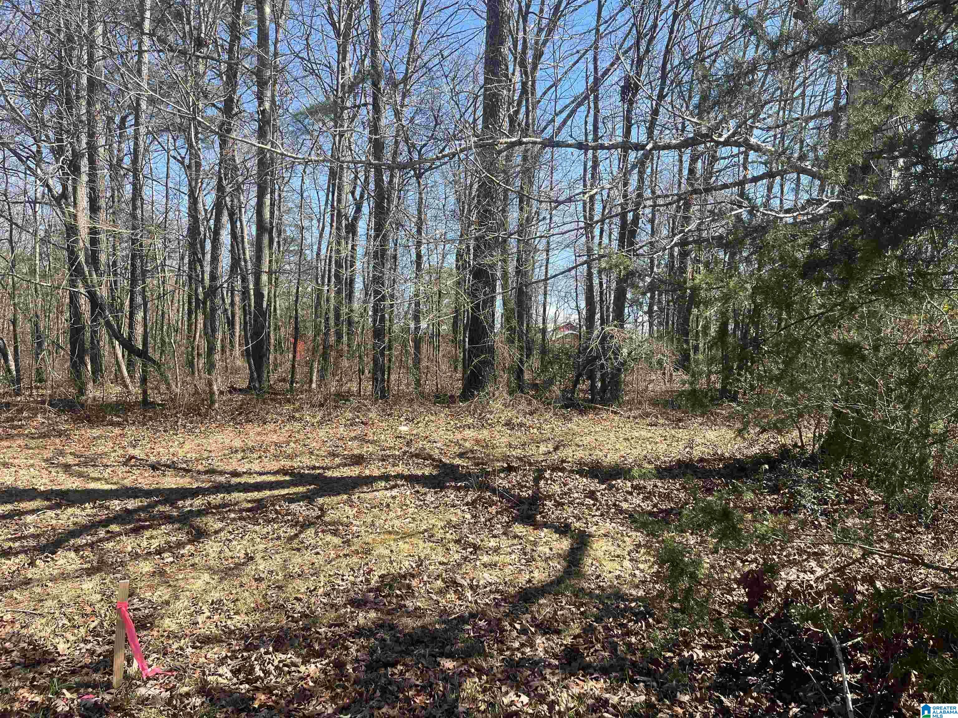 0 Union Road, Unit TRACT C Somerville, AL 35670 - Photo 1 of 6