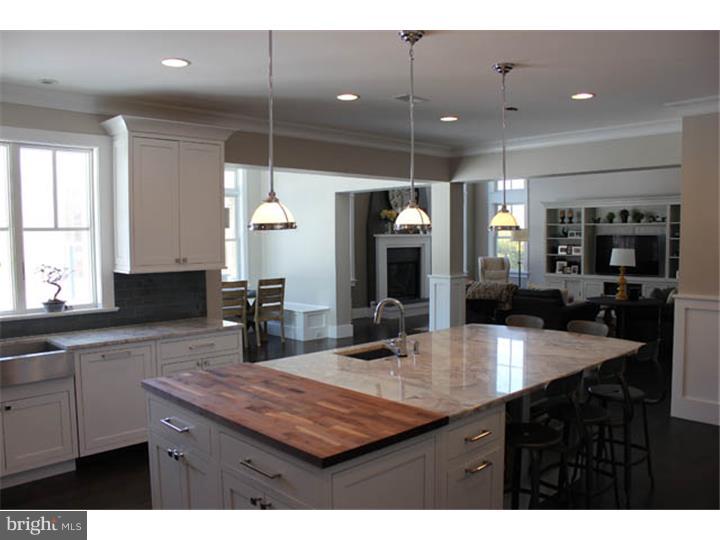 1409 Cedar Hill Road Ambler, PA 19002 - Photo 4 of 25 Kitchen