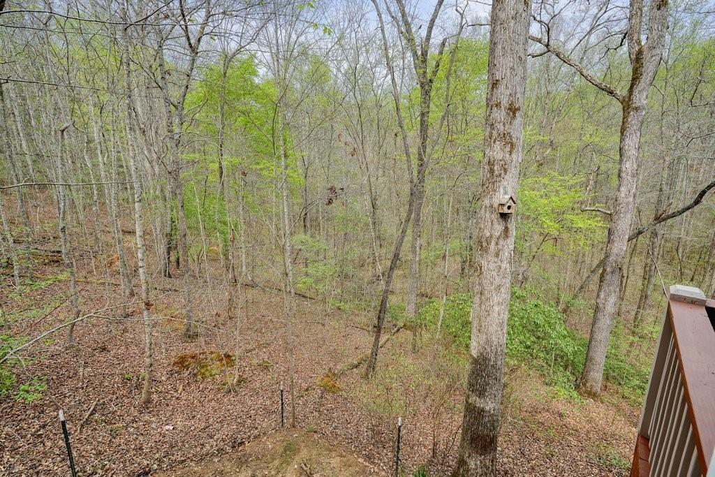 2232 Burnt Mountain Road Jasper, GA 30143 - Photo 42 of 50