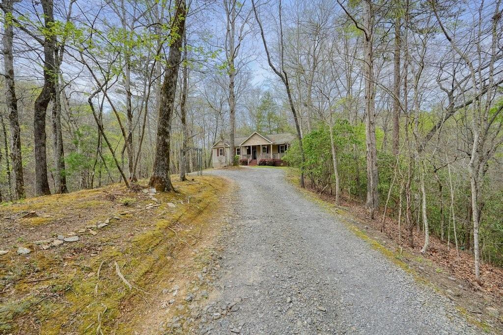 2232 Burnt Mountain Road Jasper, GA 30143 - Photo 50 of 50 a view of a yard with plants and trees