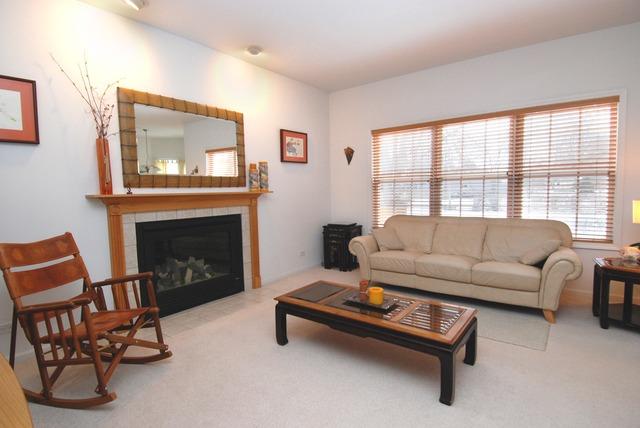 231 South Quentin Road Palatine, IL 60067 - Photo 3 of 10 a living room with furniture and a fireplace