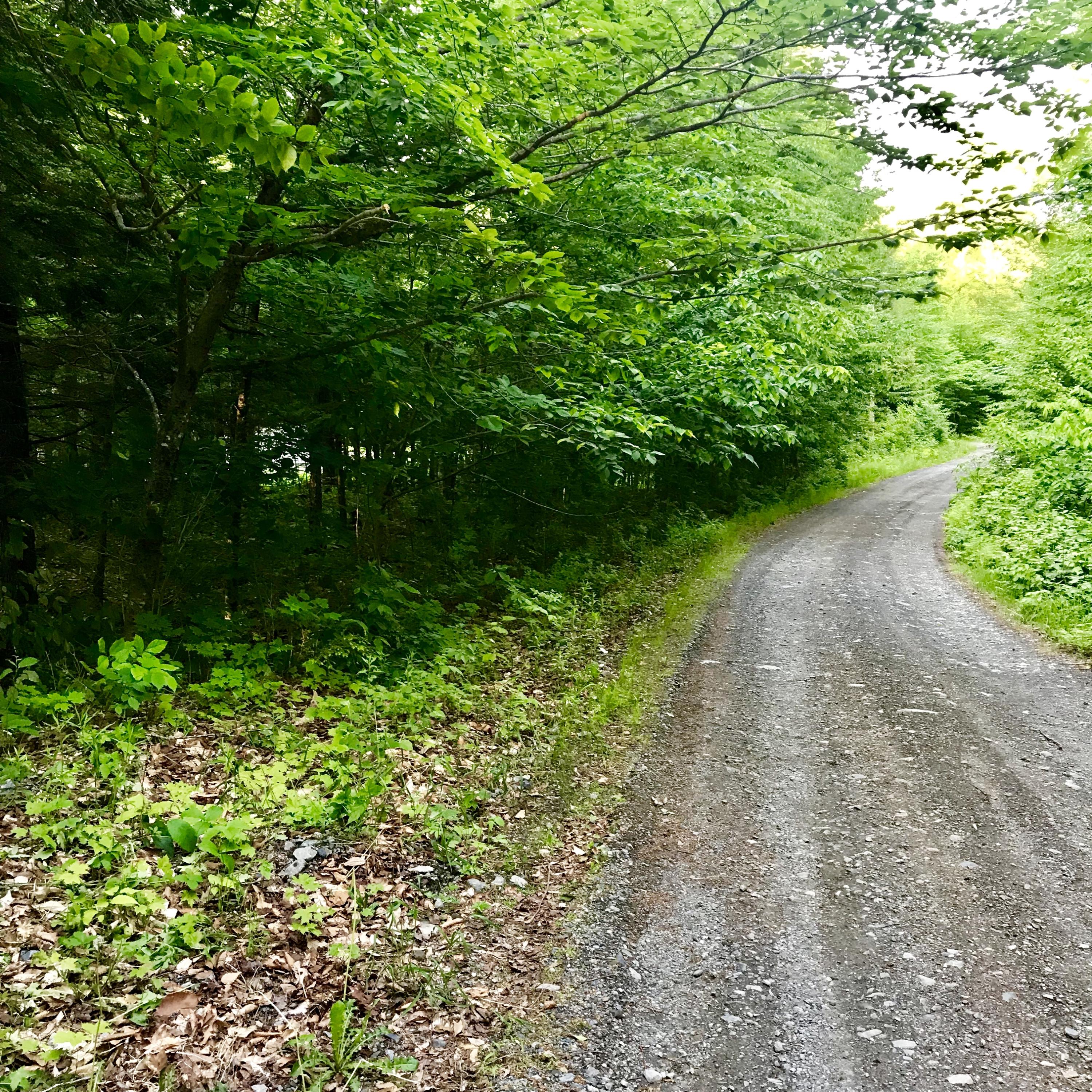 28 East Lot Drive, Unit 4 Sebec, ME 04481 - Photo 16 of 34 Year Round Access