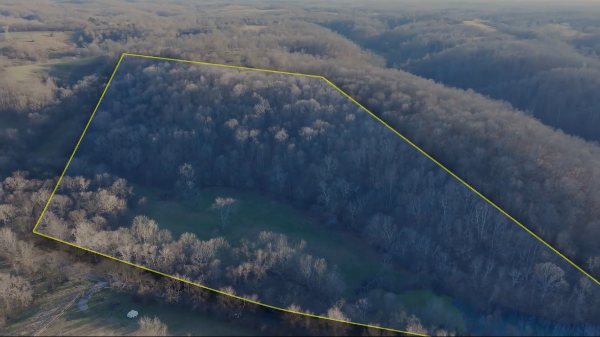 4 Enterprise Road Mount Pleasant, TN 38474 - Photo 3 of 8