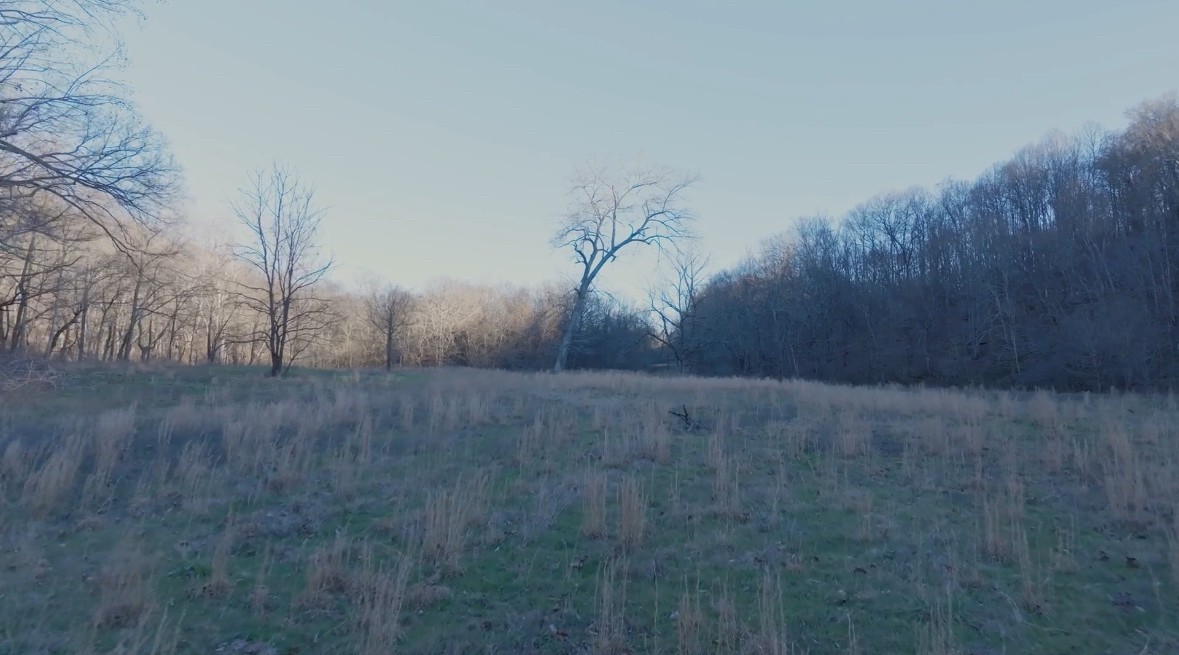 4 Enterprise Road Mount Pleasant, TN 38474 - Photo 4 of 8