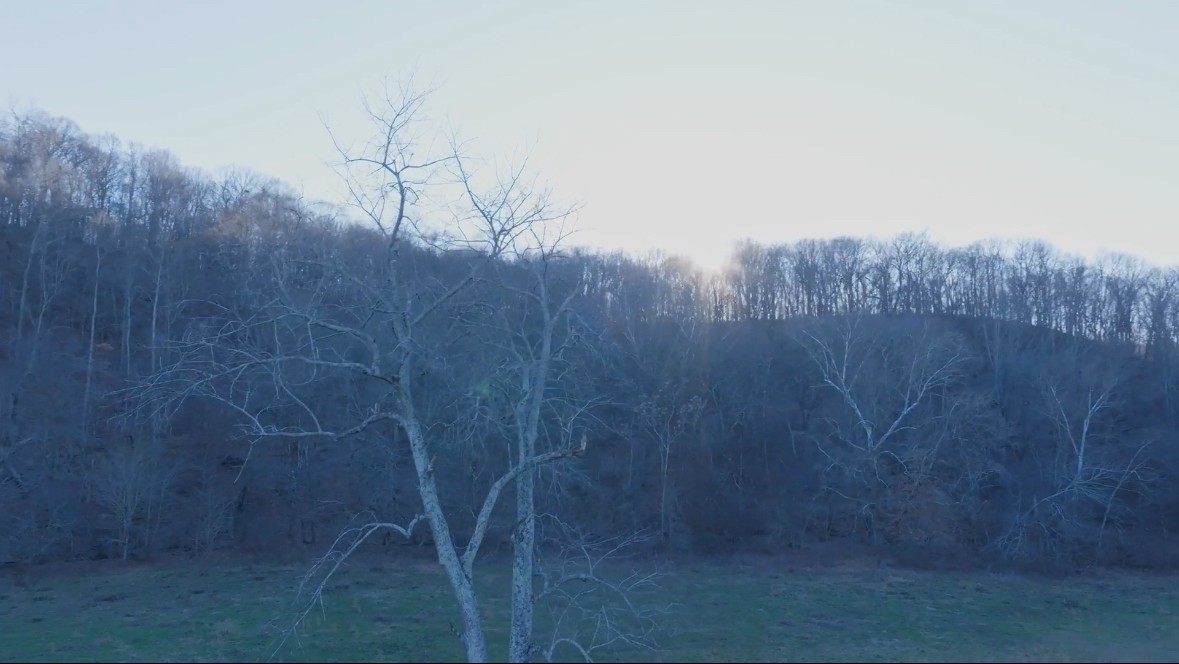 4 Enterprise Road Mount Pleasant, TN 38474 - Photo 6 of 8