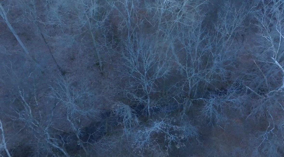 4 Enterprise Road Mount Pleasant, TN 38474 - Photo 7 of 8