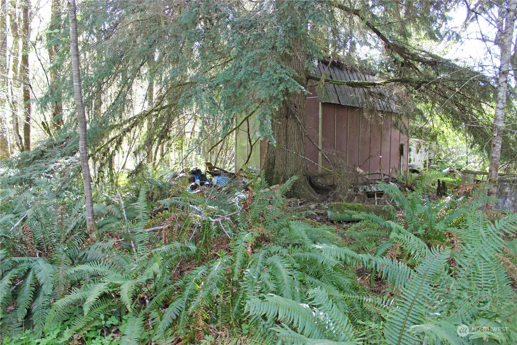 223 Harp Road Oakville, WA 98568 - Photo 17 of 37 a backyard of a house with lots of green space