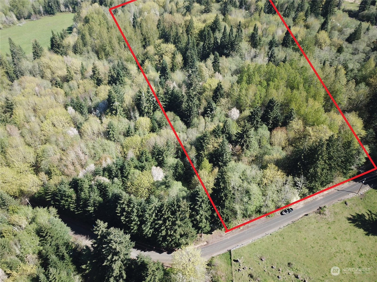 223 Harp Road Oakville, WA 98568 - Photo 21 of 37 a view of a lush green forest with lots of trees