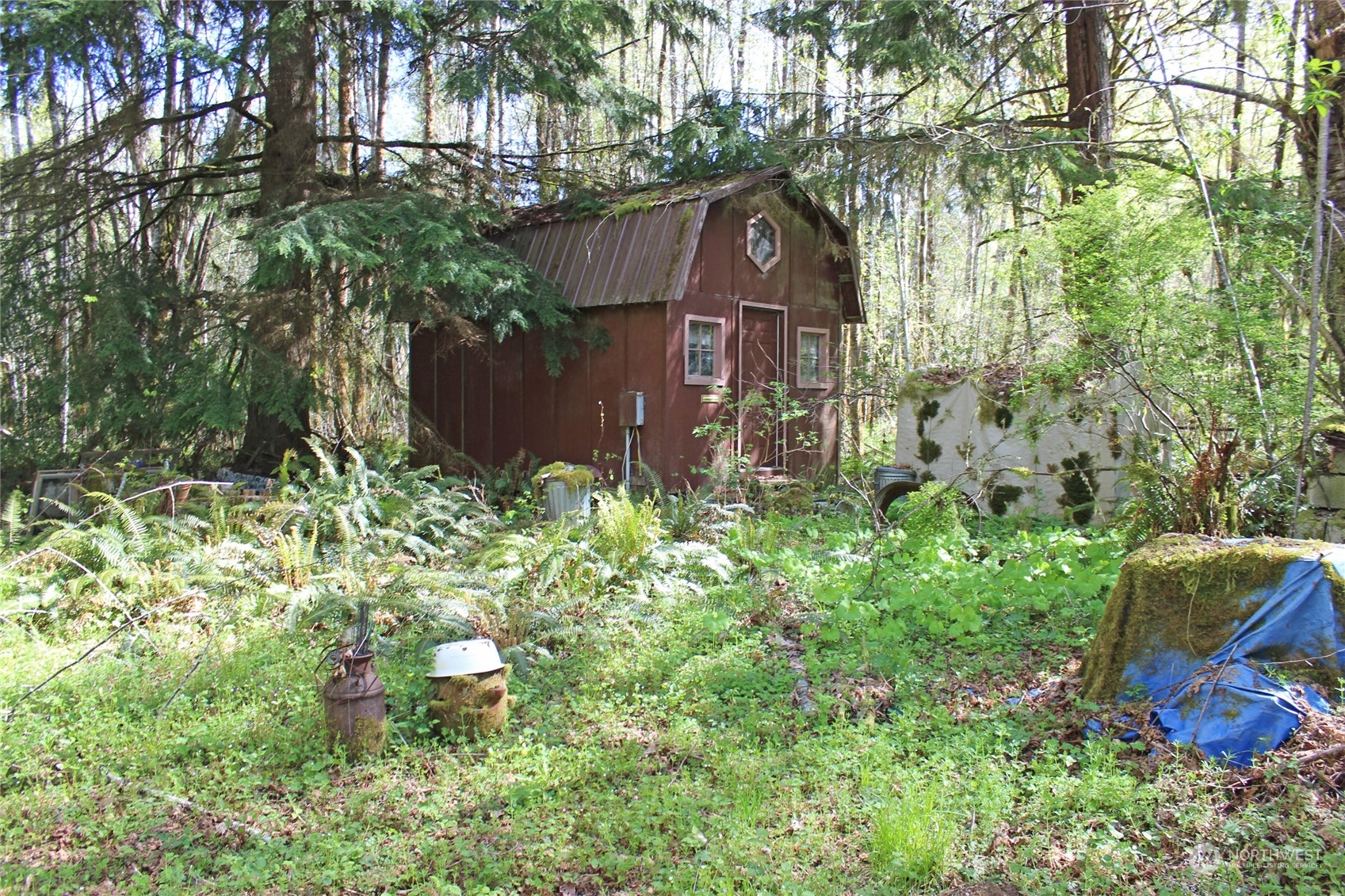 223 Harp Road Oakville, WA 98568 - Photo 25 of 37 a small garden covered with tall trees