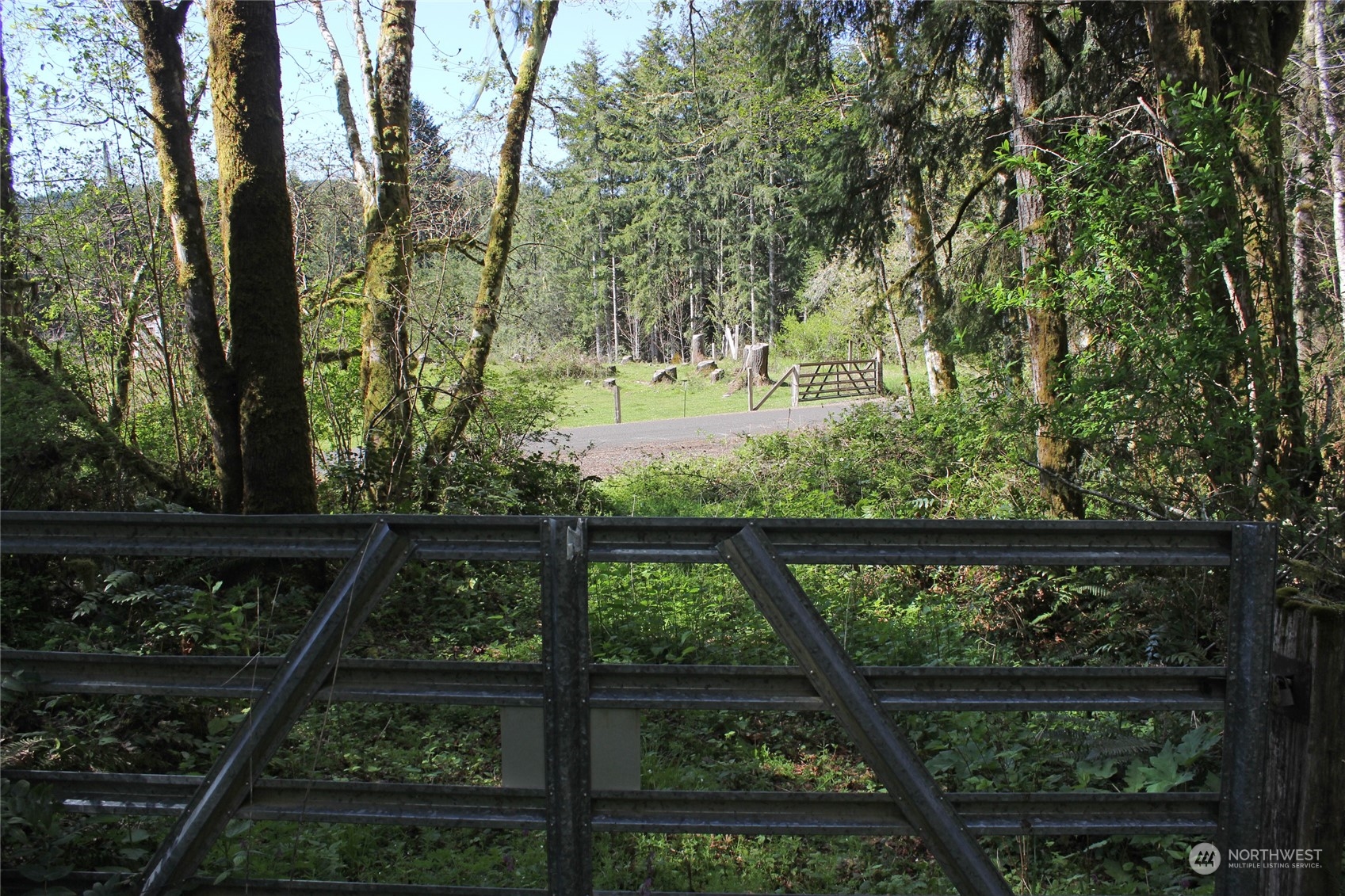 223 Harp Road Oakville, WA 98568 - Photo 26 of 37 a view of a yard with wooden fence