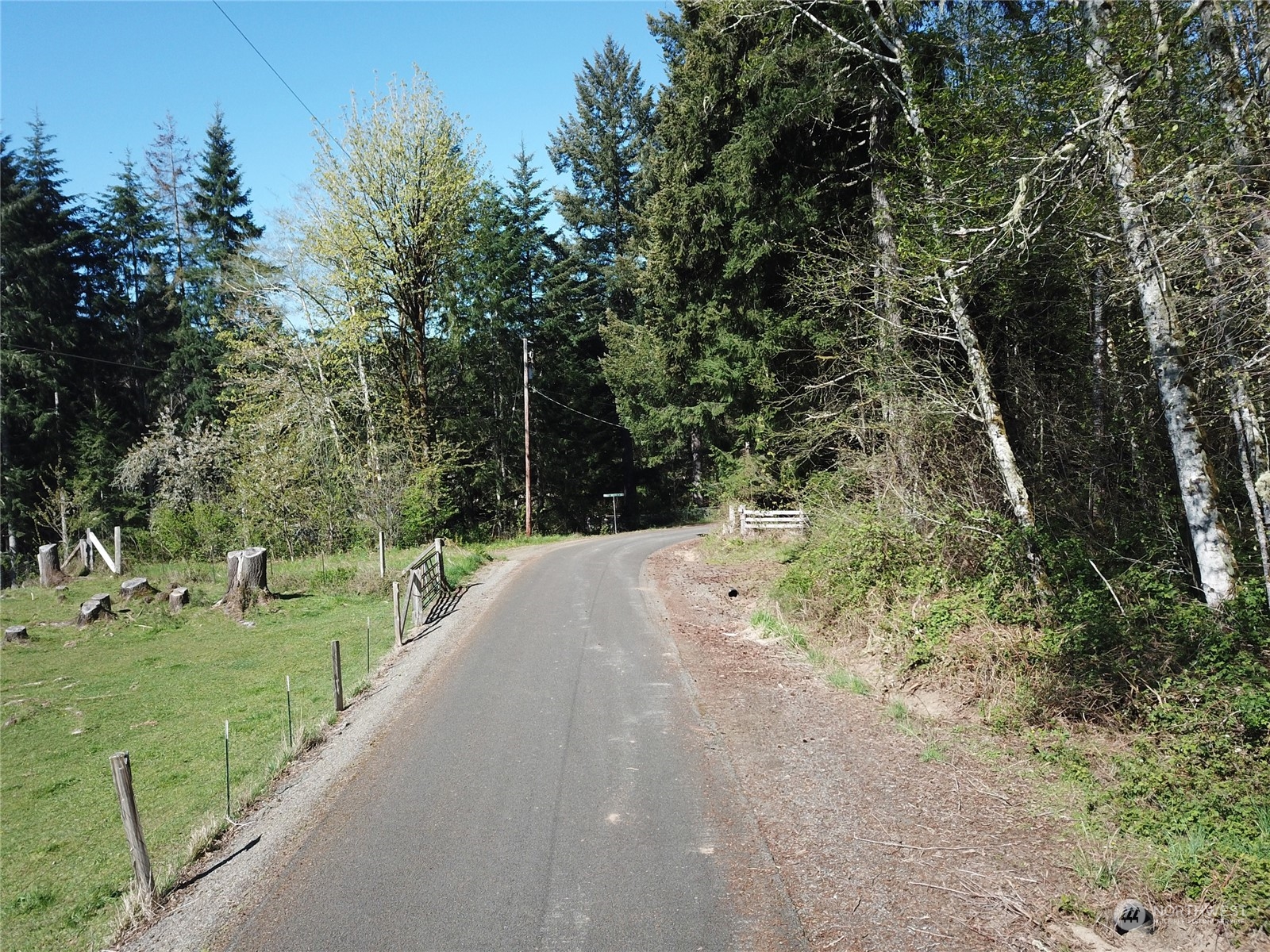 223 Harp Road Oakville, WA 98568 - Photo 30 of 37 a view of a road with a yard