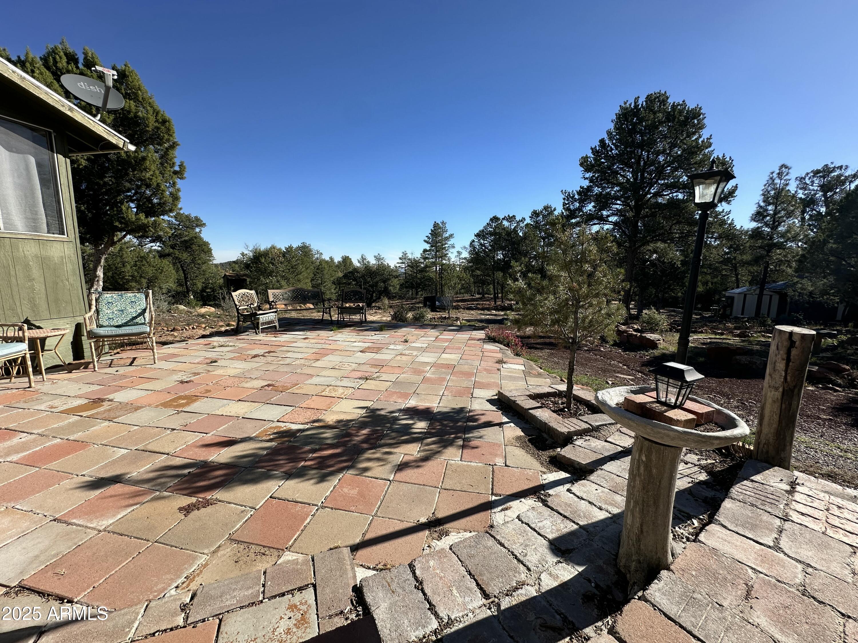 1082 Timber Ranch Road Show Low, AZ 85901 - Photo 22 of 31 IMG_3996