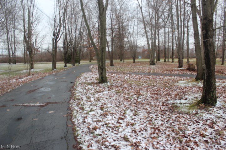 2314 Salt Springs Road Warren, OH 44481 - Photo 17 of 25 Gallery Image 17