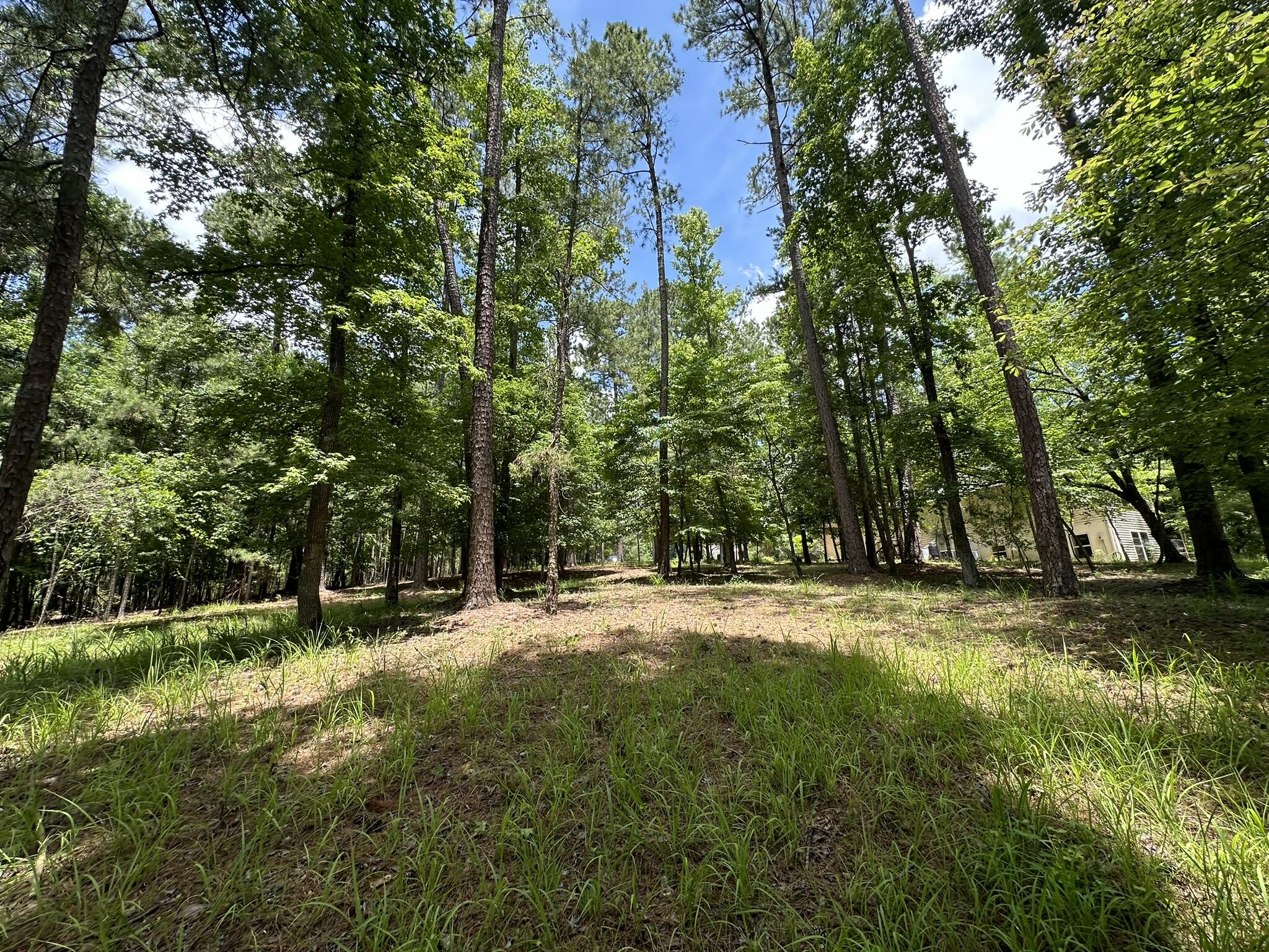 B15-l6 Colleen Place McCormick, SC 29835 - Photo 6 of 21 IMG_8357