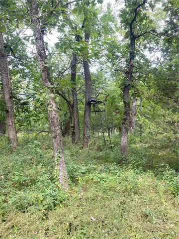 $625,000 | 4750 Labette Terrace, Rantoul, KS 66079