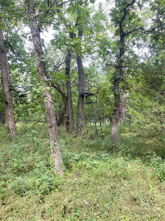 4750 Labette Terrace Rantoul, KS 66079 - Photo 14 of 34