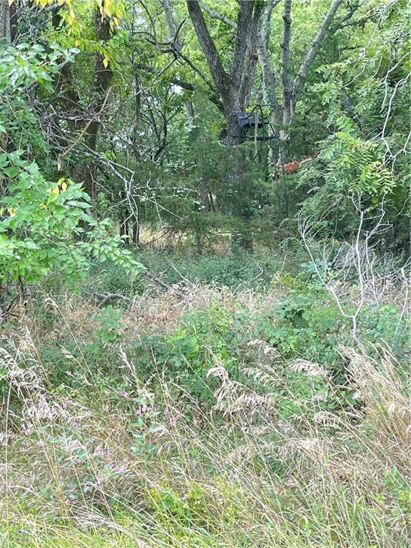 4750 Labette Terrace Rantoul, KS 66079 - Photo 17 of 34