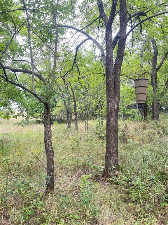 4750 Labette Terrace Rantoul, KS 66079 - Photo 3 of 34