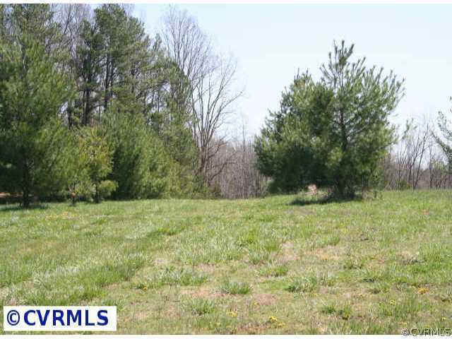 0 Proffitt Farm Road Montpelier, VA 23192 - Photo 1 of 10 Exterior Front - Tree Lined Drive Leading into the