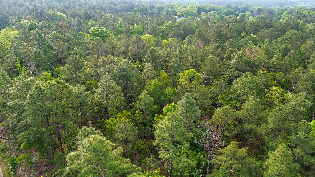 0 Mt Zion Road, Unit 5 Trenton, SC 29847 - Photo 16 of 26