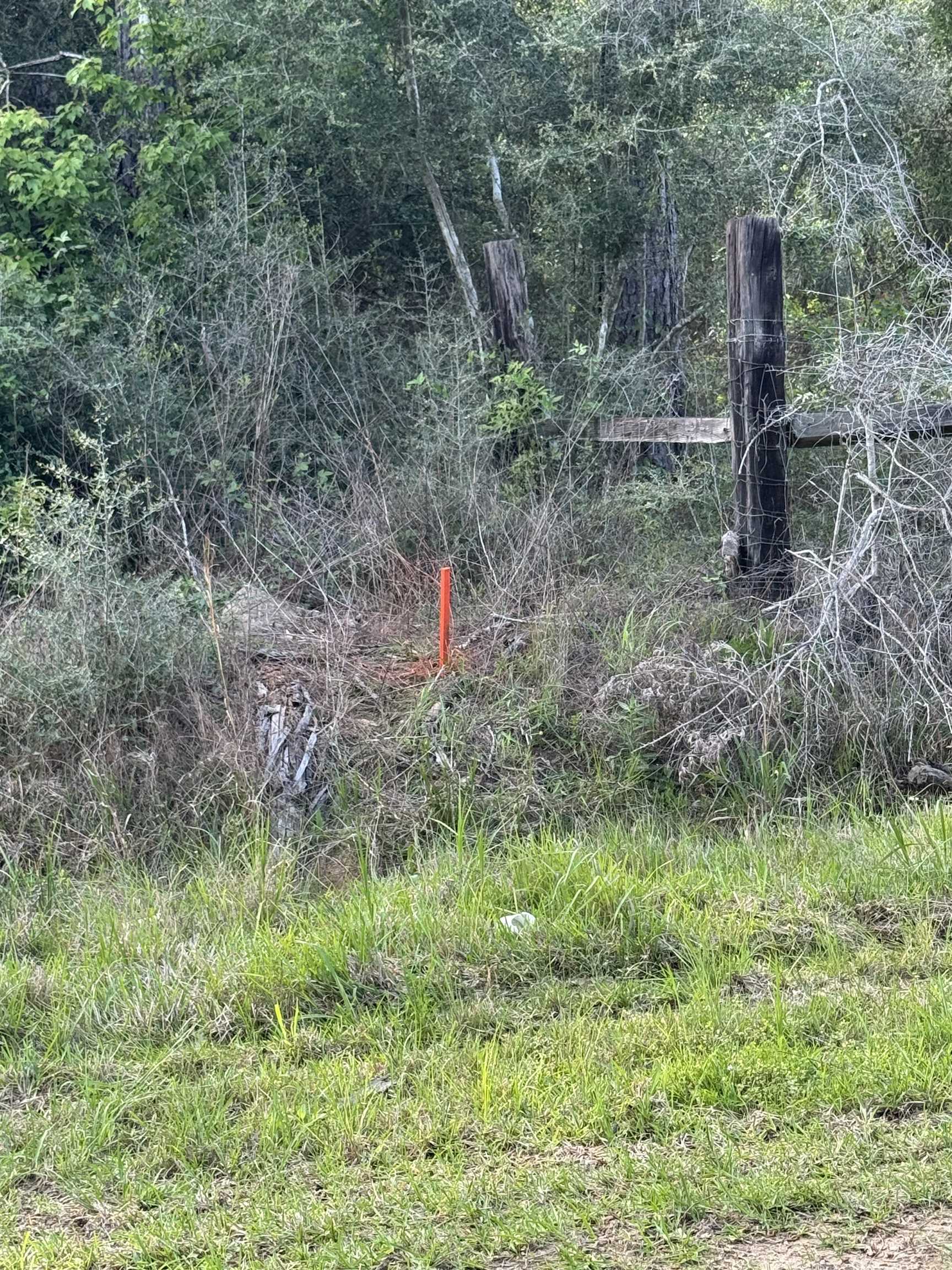 Five 5 Acre Tract Road Buna, TX 77612 - Photo 12 of 13