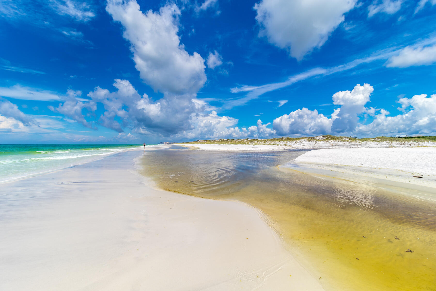 56 Cypress Drive Santa Rosa Beach, FL 32459 - Photo 60 of 61 a view of an lake and a yard