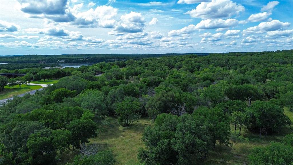 274 Ridgeline Drive Chico, TX 76431 - Photo 2 of 8 Expansive natural landscape featuring lush greenery and abundant trees