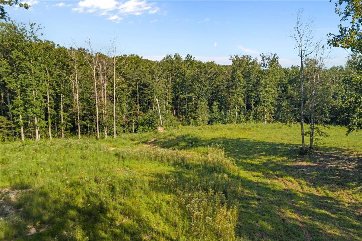 129 Upper Alsup Road Tennessee Ridge, TN 37178 - Photo 36 of 59 Gallery Image 36