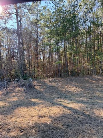 0 Highway 165 Pollock, LA 71467 - Photo 1 of 3