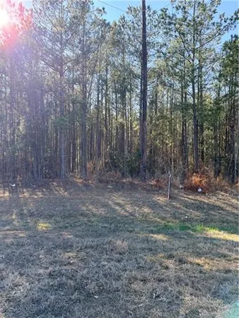 $79,900 | 0 Highway 165, Pollock, LA 71467