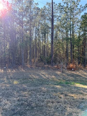 0 Highway 165 Pollock, LA 71467 - Photo 2 of 3
