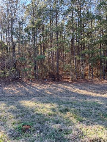 0 Highway 165 Pollock, LA 71467 - Photo 3 of 3