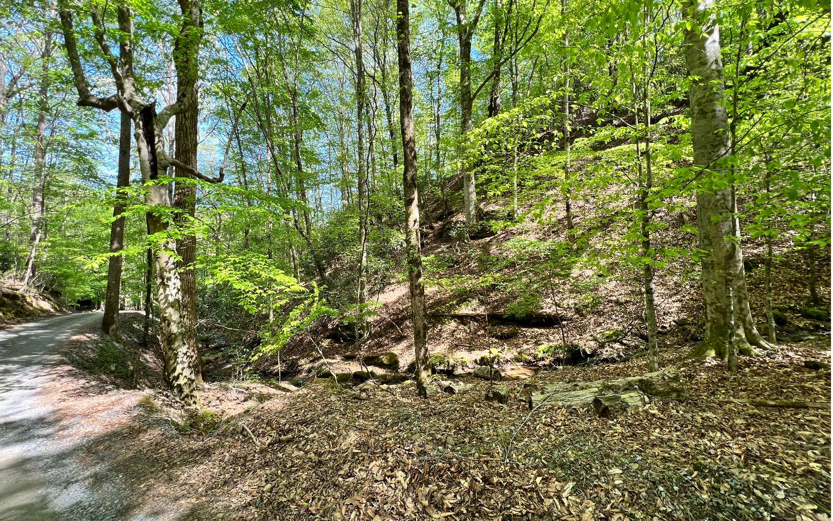 L2385 Riveredge Lane Ellijay, GA 30540 - Photo 11 of 28 Additional View