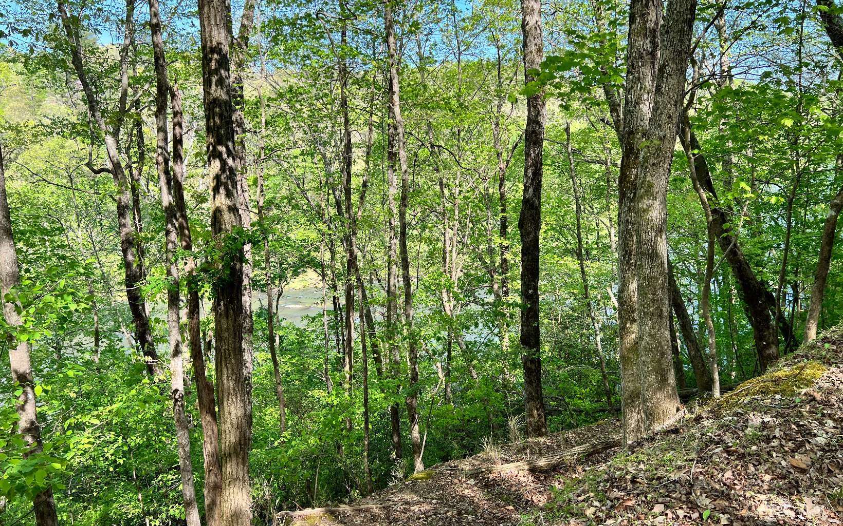 L2385 Riveredge Lane Ellijay, GA 30540 - Photo 12 of 28 Additional View