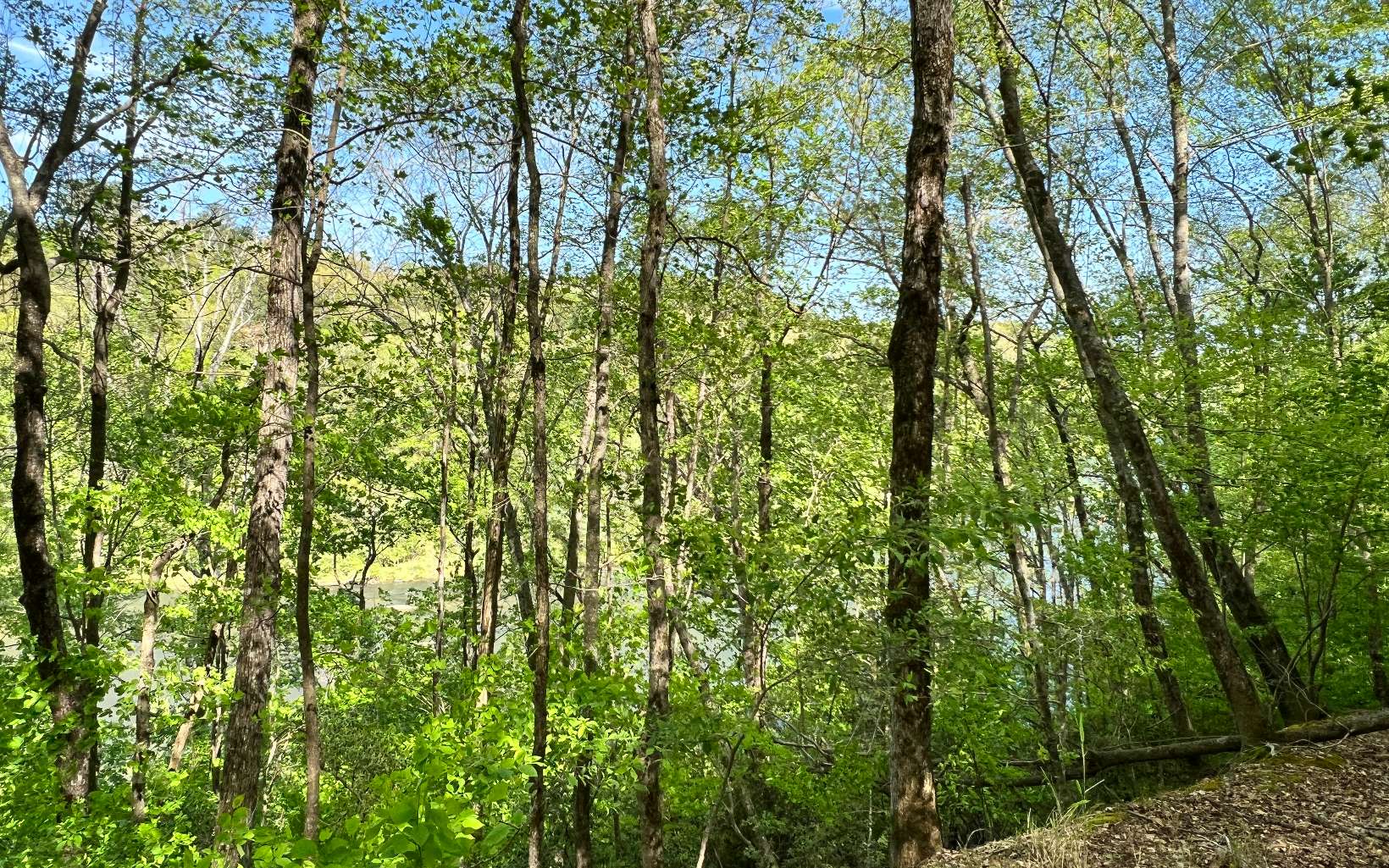 L2385 Riveredge Lane Ellijay, GA 30540 - Photo 14 of 28 Additional View