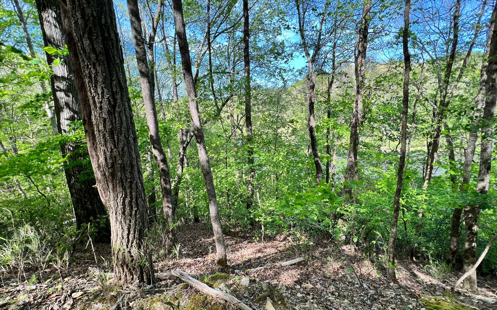 L2385 Riveredge Lane Ellijay, GA 30540 - Photo 15 of 28 Additional View