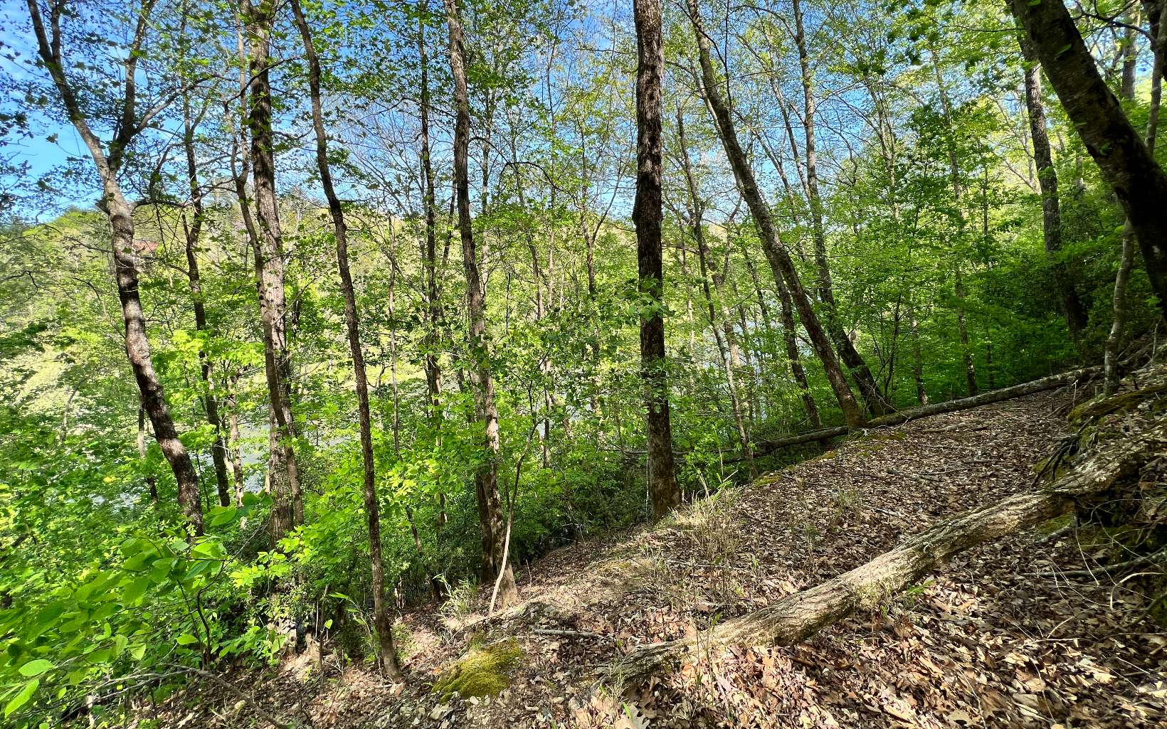 L2385 Riveredge Lane Ellijay, GA 30540 - Photo 16 of 28 Additional View