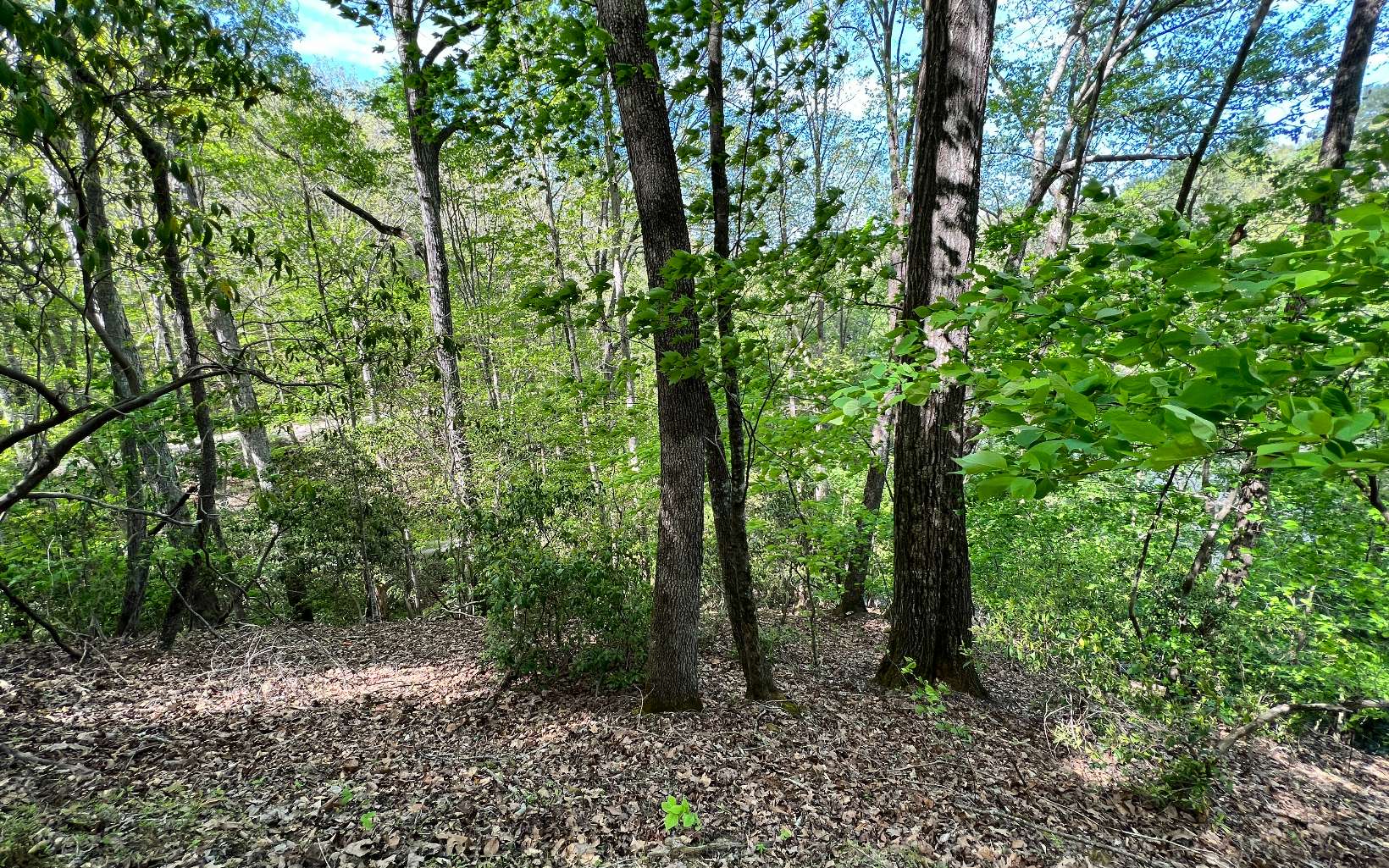 L2385 Riveredge Lane Ellijay, GA 30540 - Photo 17 of 28 Additional View