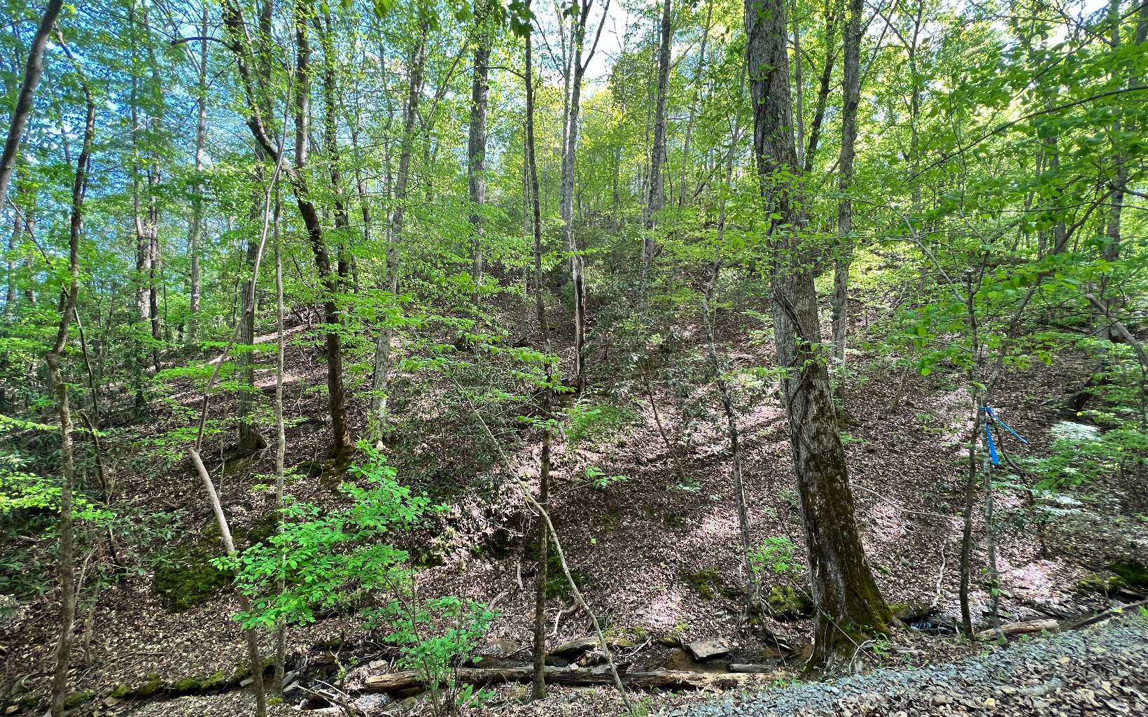 L2385 Riveredge Lane Ellijay, GA 30540 - Photo 24 of 28 Additional View