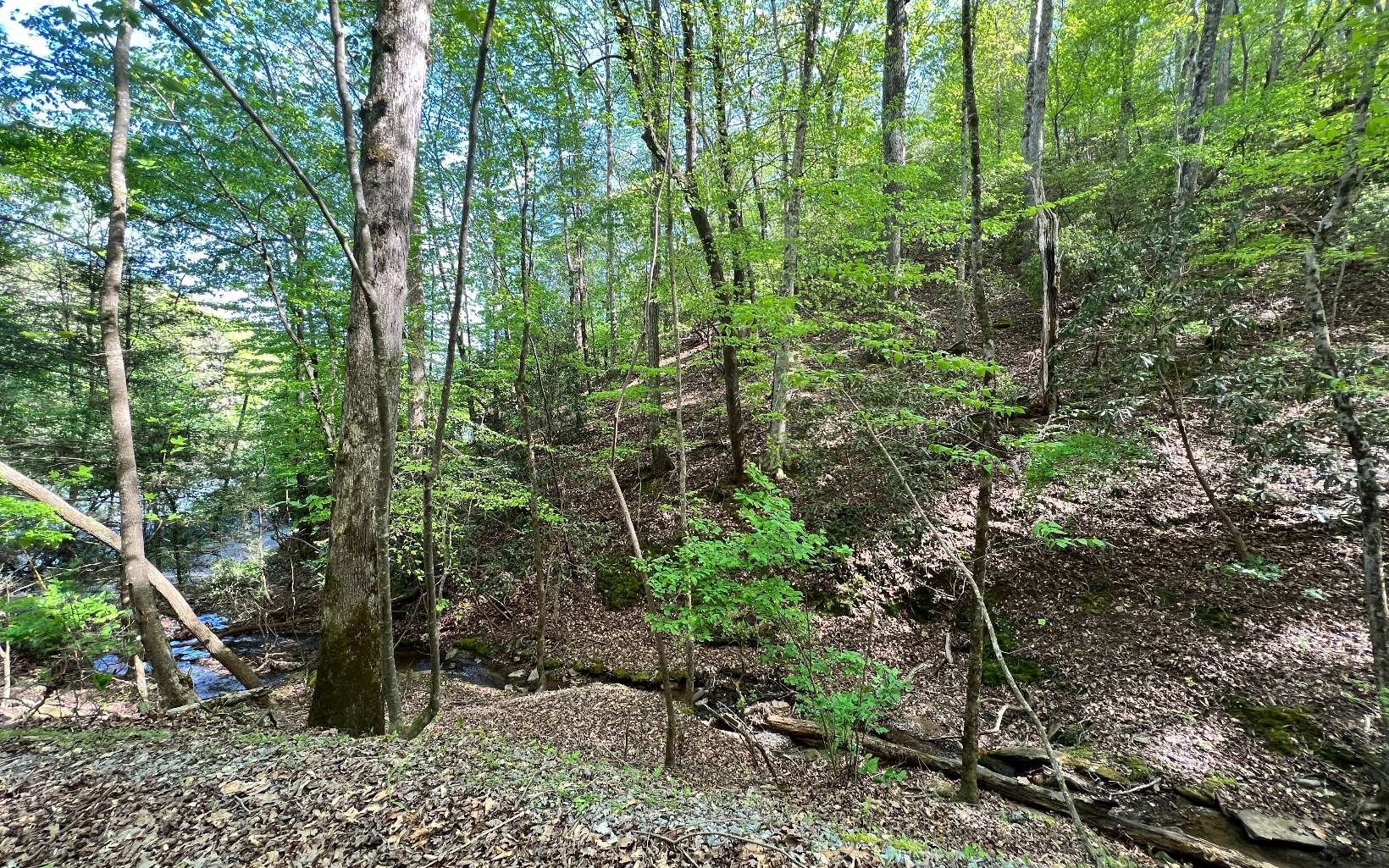 L2385 Riveredge Lane Ellijay, GA 30540 - Photo 25 of 28 Additional View