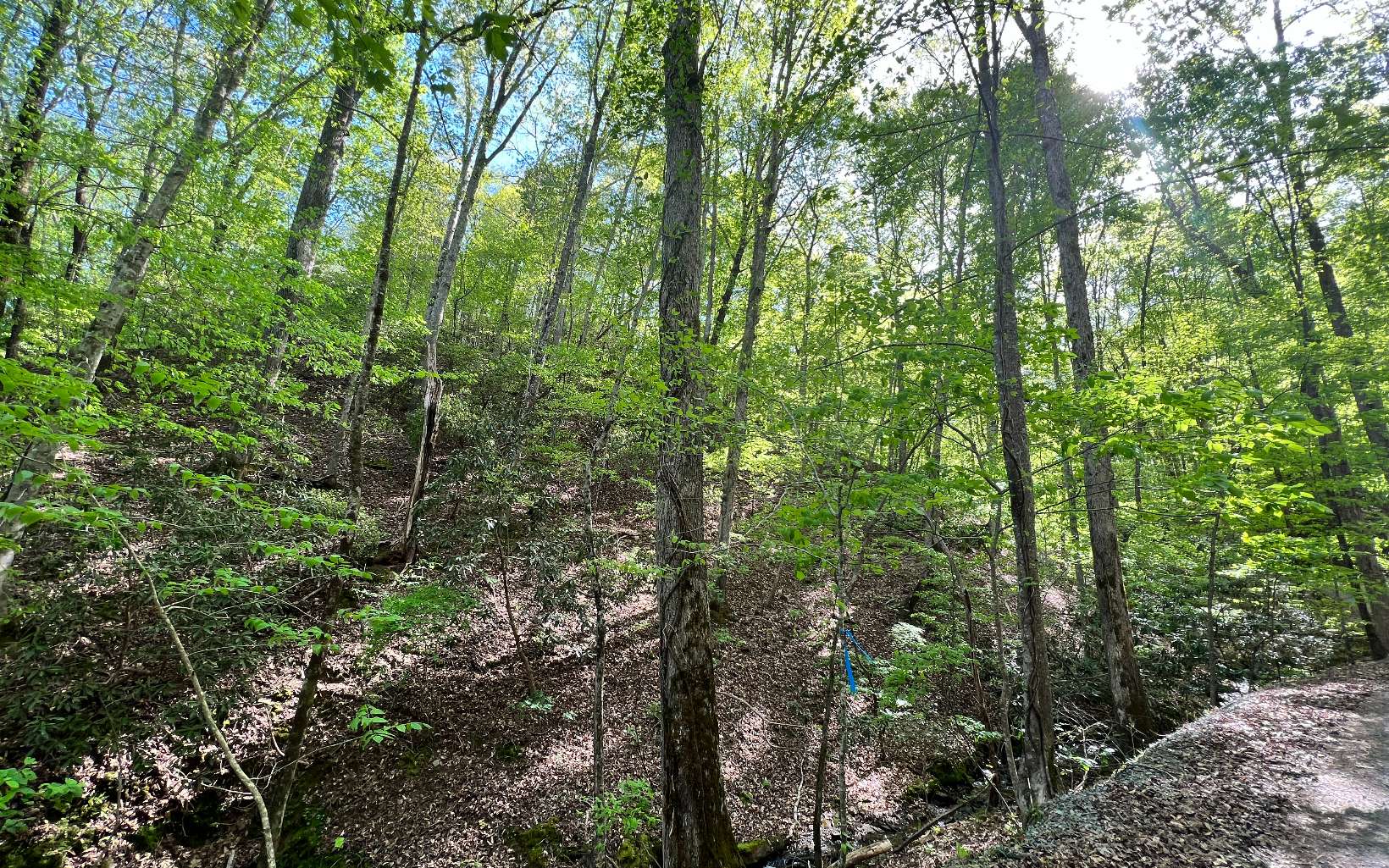 L2385 Riveredge Lane Ellijay, GA 30540 - Photo 26 of 28 Additional View
