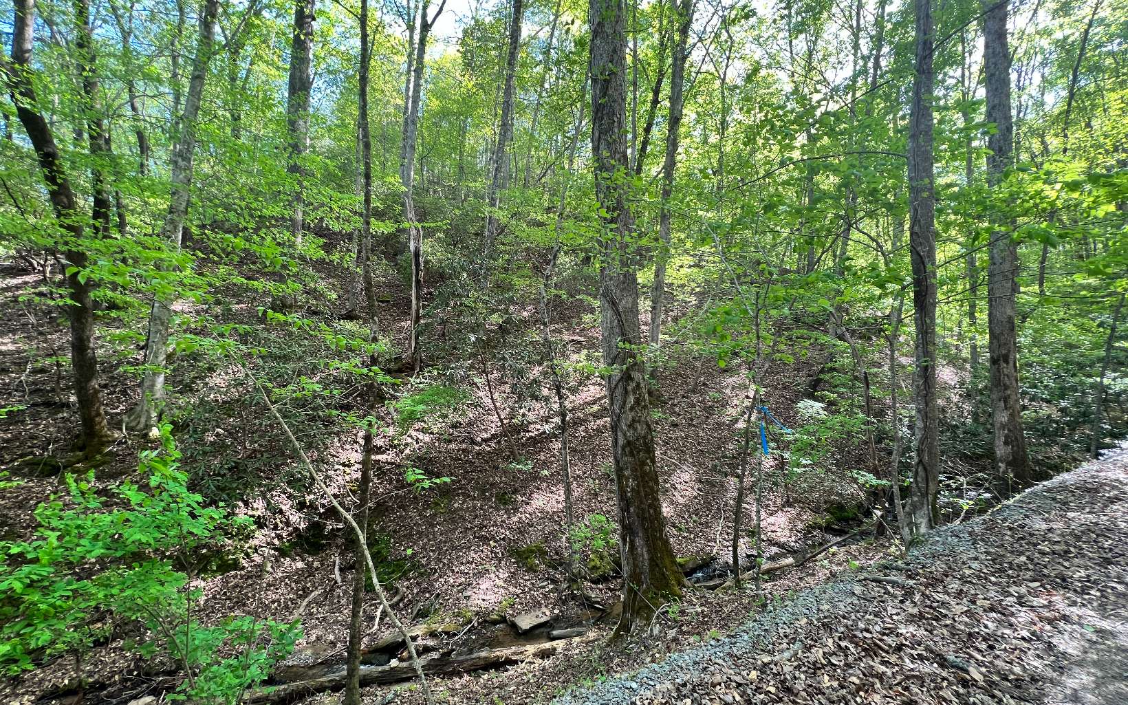 L2385 Riveredge Lane Ellijay, GA 30540 - Photo 27 of 28 Additional View