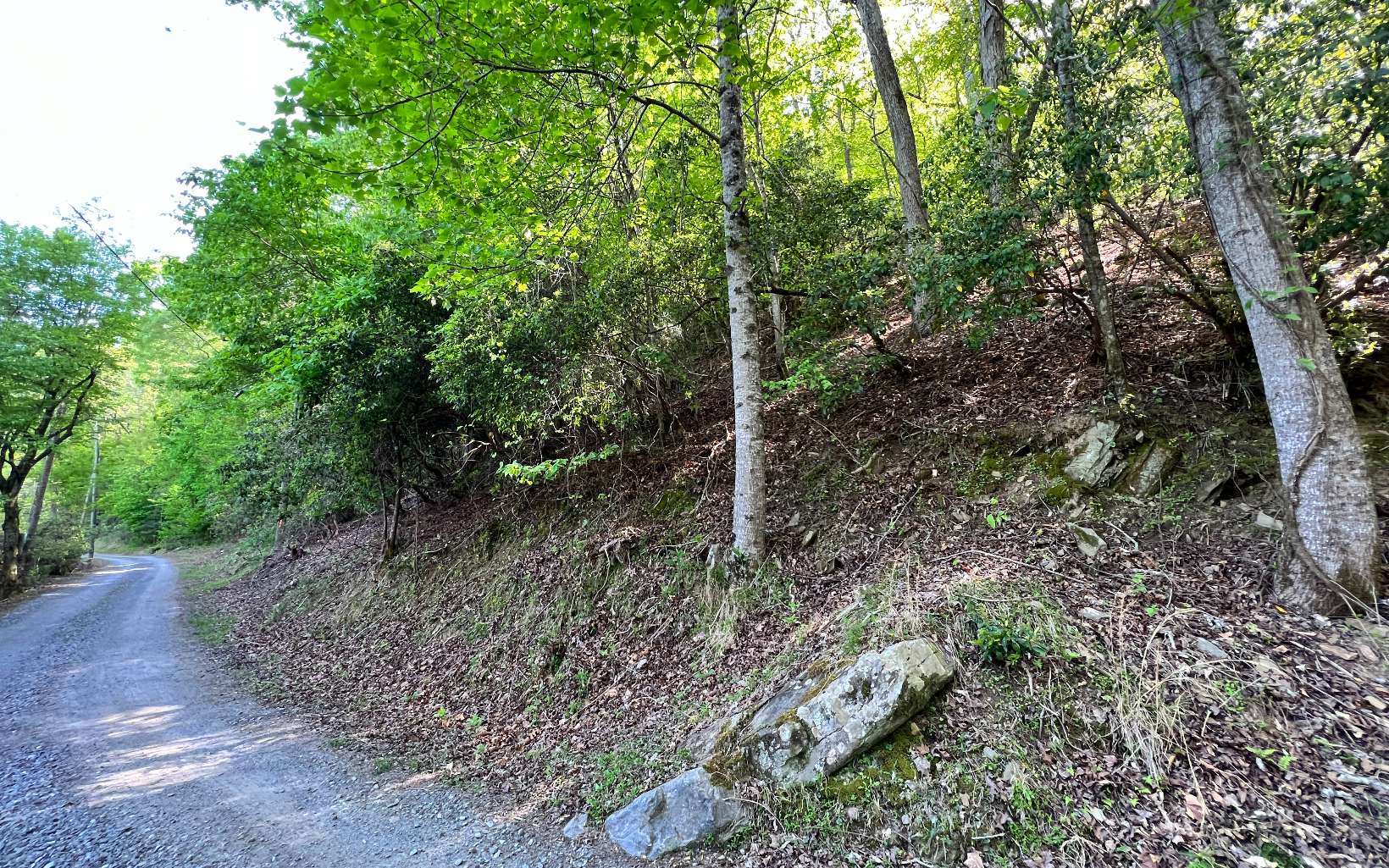 L2385 Riveredge Lane Ellijay, GA 30540 - Photo 5 of 28 Additional View
