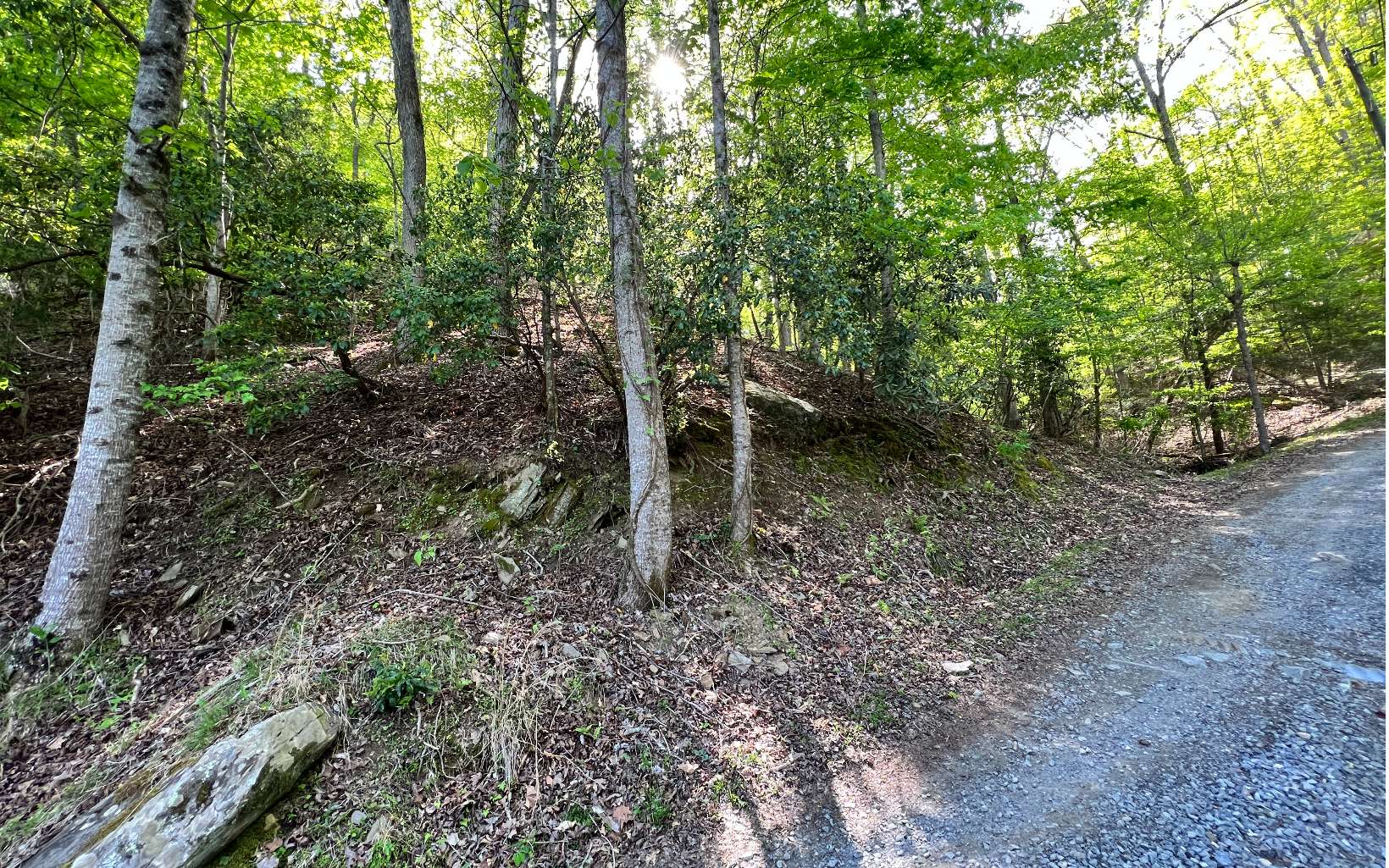 L2385 Riveredge Lane Ellijay, GA 30540 - Photo 6 of 28 Additional View