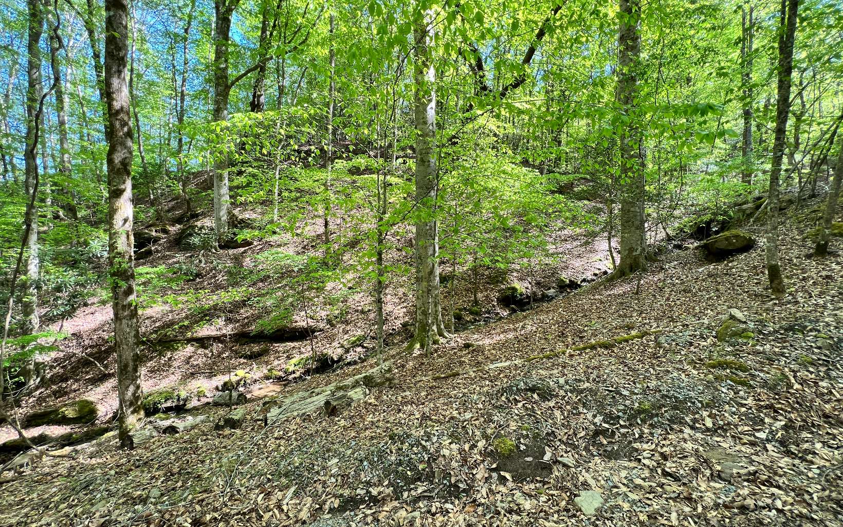 L2385 Riveredge Lane Ellijay, GA 30540 - Photo 10 of 28 Additional View