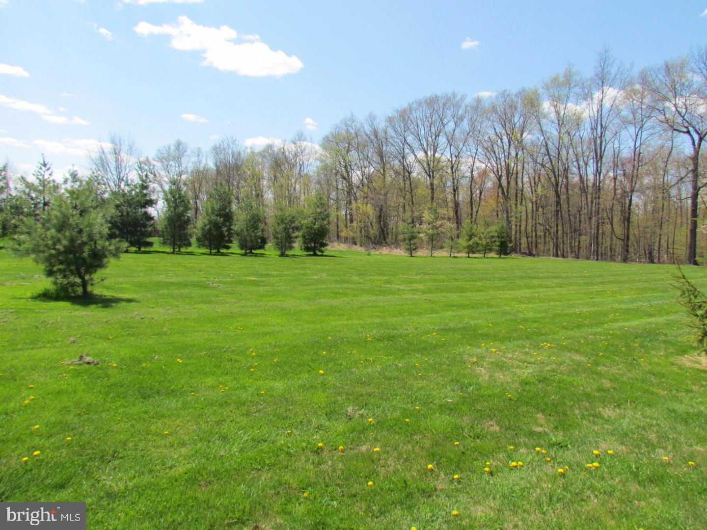526 Scott Road Pipersville, PA 18947 - Photo 6 of 15 Gallery Image 6