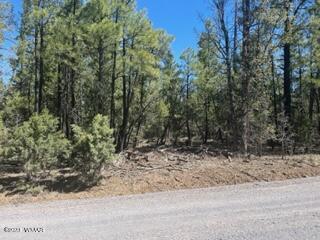 Tbd Rim Spur Lakeside, AZ 85929 - Photo 2 of 5