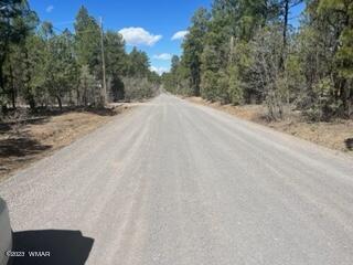 Tbd Rim Spur Lakeside, AZ 85929 - Photo 3 of 5
